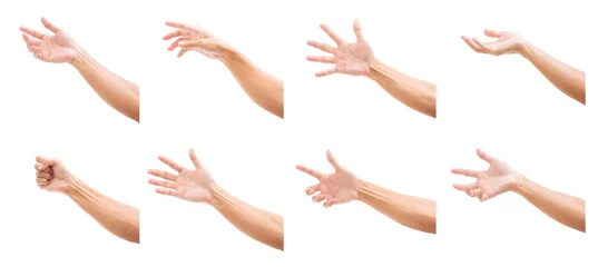 Fotobehang Set of man hands isolated on white background © littlestocker