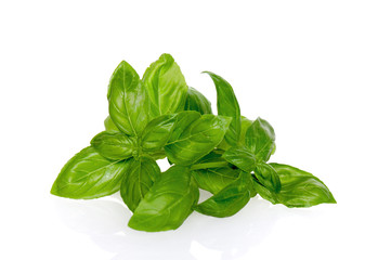 Basil fresh leaves isolated on white background