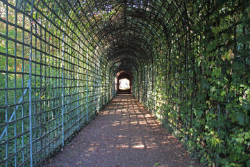 Tunnel-Blick