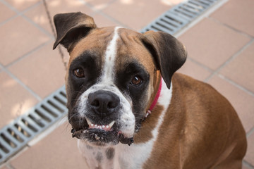 Fototapete bei efototapeten.de bestellen   