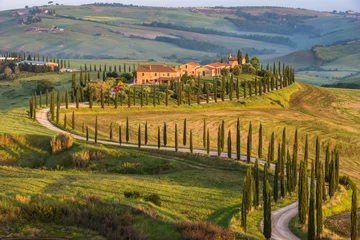 Fotobehang Morning in Tuscany, Italy © Vasily
