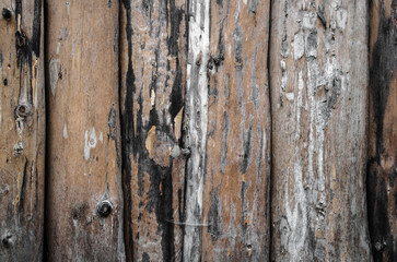 abstract background with wooden wall