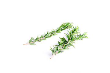 Isolated sprigs of rosemary on white