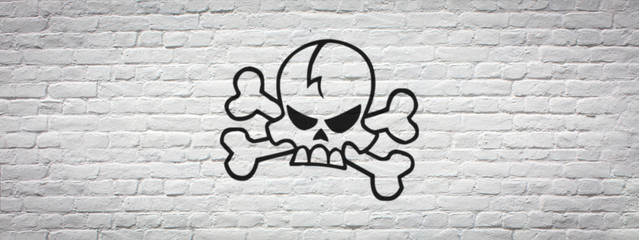 Tête de mort sur fond de mur / Skull On Brick Wall