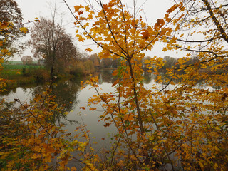 Herbstliche Stimmung am Teich in Bayern 