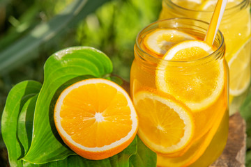 Lemonade in a glass, lemons, oranges on a tree on background of green grass in the garden on a sunny day