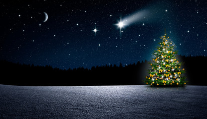 Weihnachtbaum im Nächtlichen Winterwald