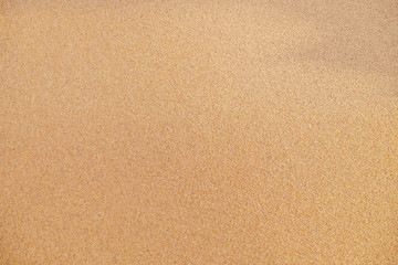 Fototapeta na wymiar Wet sand on sea coast