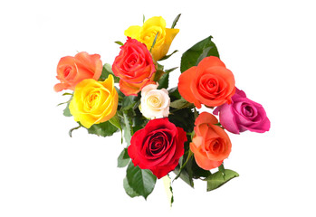 Bouquet of roses, isolated on white background.