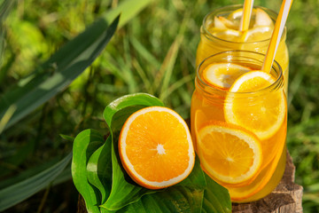 Lemonade in a glass, lemons, oranges on a tree on background of green grass in the garden on a sunny day