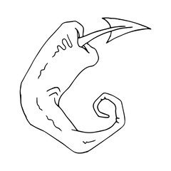 Pepper icon. Vector illustration of hot chili pepper. Hand drawn red hot pepper.