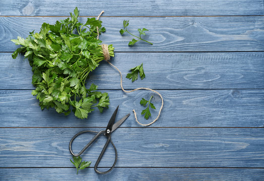 Fresh aromatic parsley with scissors on color wooden background