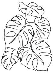 Monstera Tropical leaves. Line art drawing