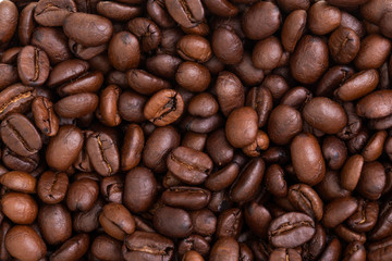Roasted coffee beans