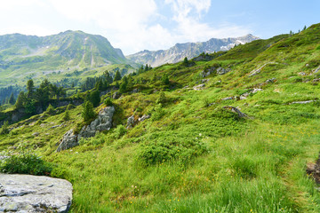 Fototapeta na wymiar Natur Landschaft in den französischen Alpen
