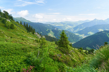 Fototapeta na wymiar Alpen Panorama mit Berg Landschaft