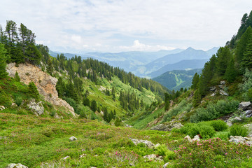 Fototapeta na wymiar Ausblick auf die Alpen mit Berg und Tal