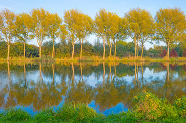 Fototapeta premium Shore of a canal along trees in sunlight at fall 