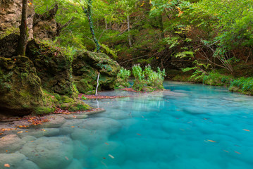 Naklejka premium Source of Urederra river in Baquedano, Navarre, Spain
