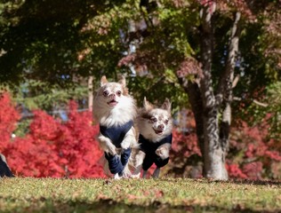 飛び出せ！