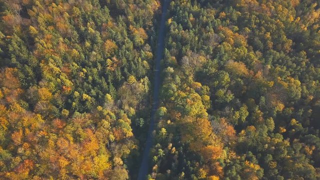 Aerial view of road in the autumn forest and mountains, drone point of view. Inspiring autumn season landscape background.