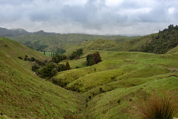 Obraz premium Green hills and valleys on a foggy day
