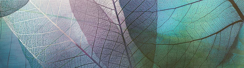 Foto auf Acrylglas abstraktes Muster mit dekorativen Blättern, dekorative Keramikfliesen © serikbaib