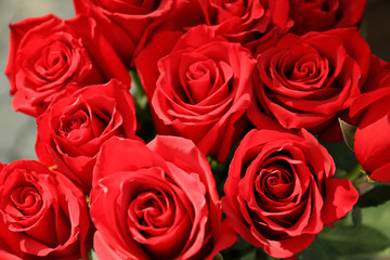 Bouquet of beautiful roses, closeup