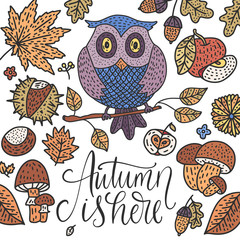 Obraz premium Cozy fall vector illustration. Autumn vector lettering card.