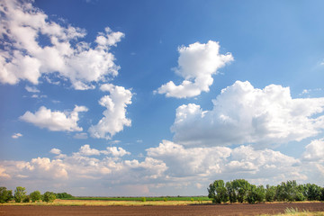 blue sky with clouds over summer field
