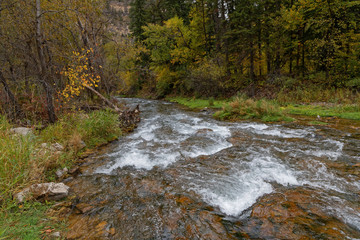A river in a fall landscape in Spearfish Canyon, Black Hills, South Dakota