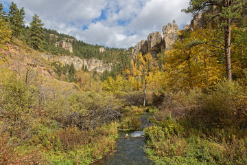 Fall landscape in Spearfish Canyon, Black Hills, South Dakota