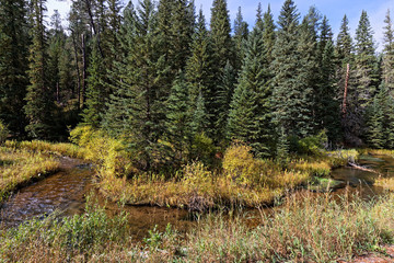 Fall landscape in Spearfish Canyon, Black Hills, South Dakota