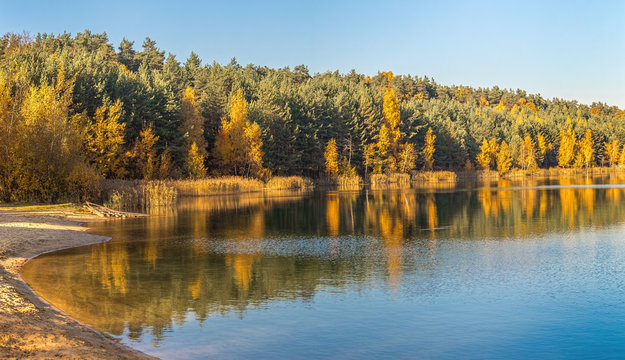 Golden autumn landscape with lake and trees in the Moscow region. Lytkarino
