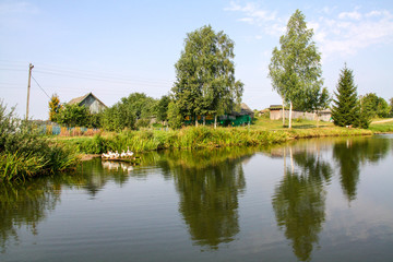 Fototapeta premium Pond in the Belarusian village