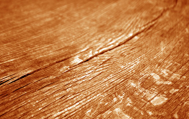 Fototapeta premium Old log cut macro in orange tone.