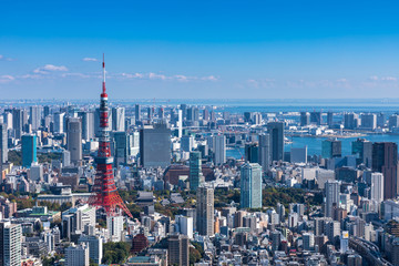 (東京都ｰ都市風景)展望台から見るお台場側風景２