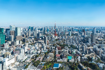 (東京都ｰ都市風景)展望台から見るお台場側風景６