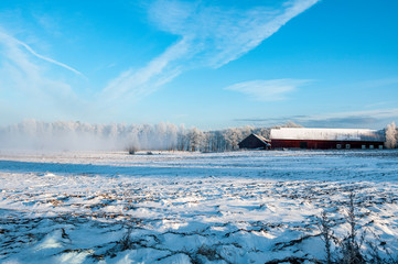 Winter in Schweden - 231854678