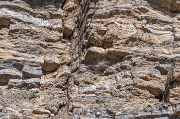 texture of sedimentary rocks