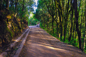 Obraz premium LANDSCAPE, NATURE, SKY,