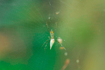 Japón viaje tradición cultura