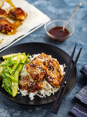 Hoisin Chicken. Traditional Asian cuisine. Chicken with sauce, rice and pickled cucumbers.