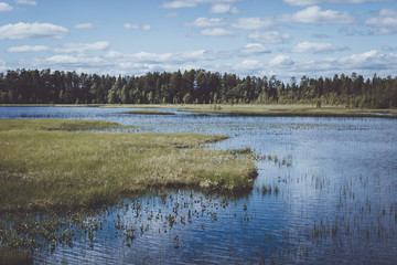 View across a lake in the woods in Swedish Lapland