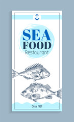 Vector Hand Drawn Bream or Bass Seafood Banner Set