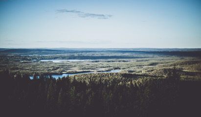 Looking across the forest on Swedish Lapland - obrazy, fototapety, plakaty