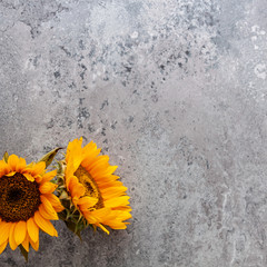 Stone natural wabi sabi background with sunflowers and copy space