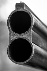 Vertical barrels of a hunting smooth-bore gun.