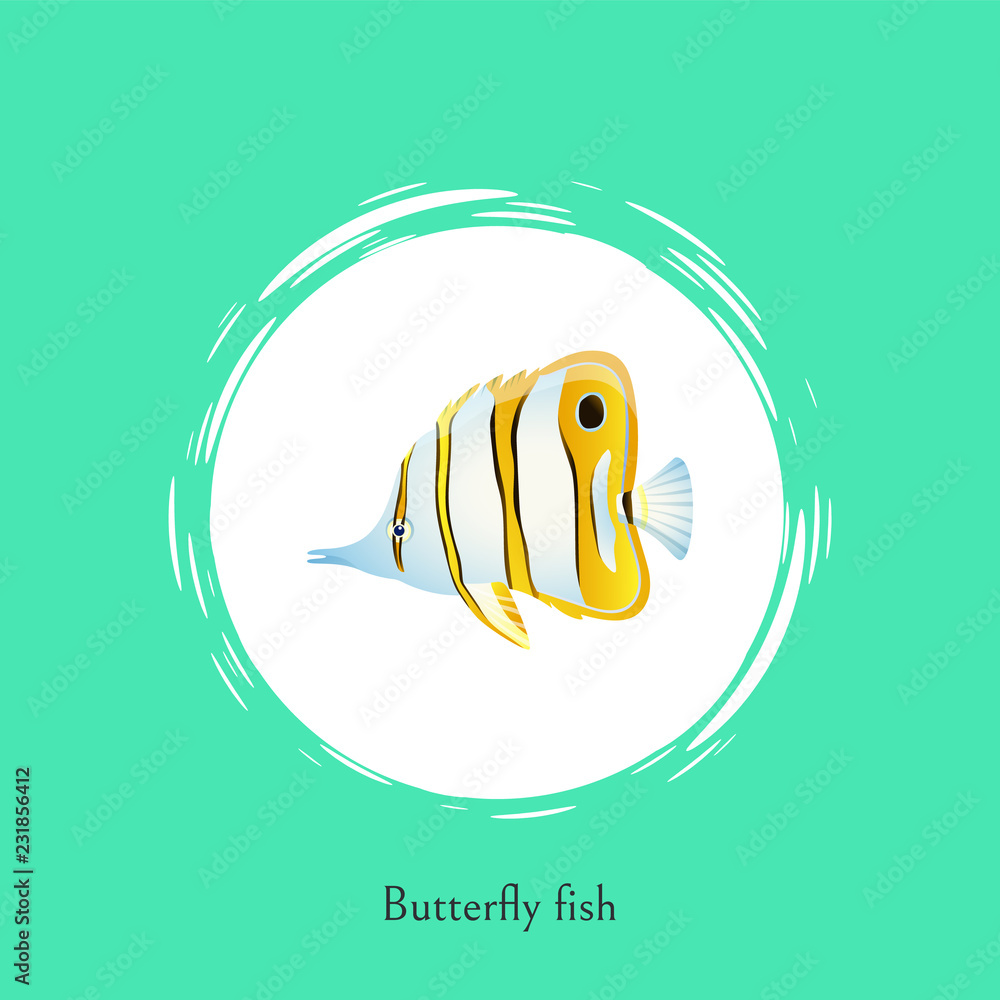 Wall mural Butterfly Fish Title Poster Vector Illustration