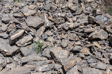 texture of sedimentary rocks